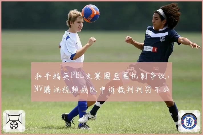 和平精英PEL决赛圈蓝圈机制争议，NV腾讯视频战队申诉裁判判罚不公