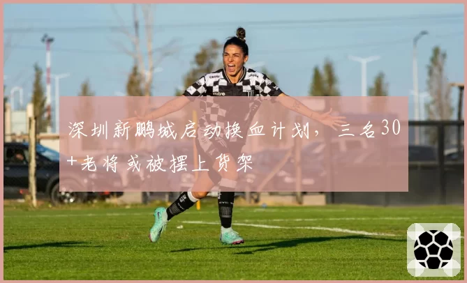 深圳新鹏城启动换血计划,三名30+老将或被摆上货架