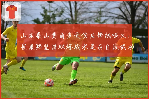 山东泰山费南多受伤后锋线哑火,崔康熙坚持双塔战术是否自废武功?