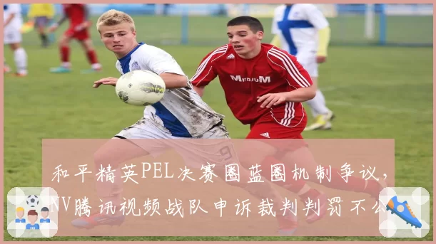 和平精英PEL决赛圈蓝圈机制争议，NV腾讯视频战队申诉裁判判罚不公